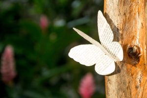 trauer gedicht schmetterling