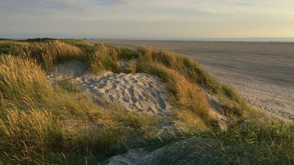 Weiter Sandstrand mit Gras