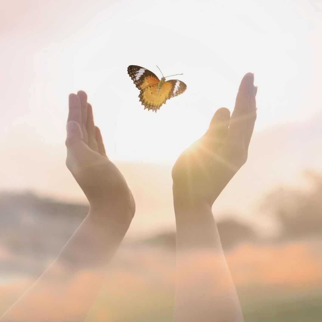 Hand mit Schmetterling